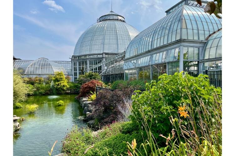 Another Belle Isle distraction, the Anna Scripps Whitcomb Conservatory, one of the oldest glass greenhouses in the country.