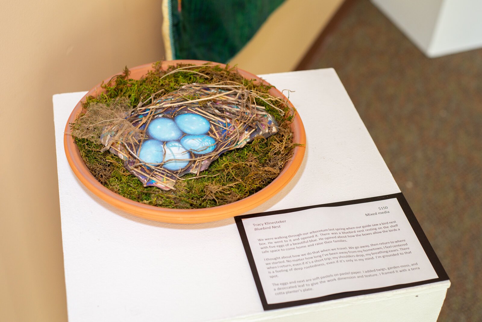 "Bluebird Nest" By Tracy Klinesteker