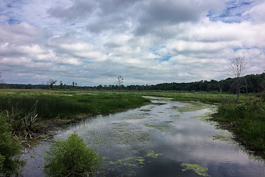 Land Conservancy