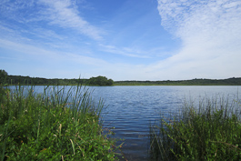 SW MI Land Conservancy