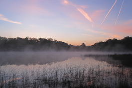 Portman Nature Preserve