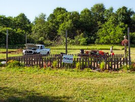 Mental Wellness Project Veterans Garden