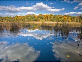 Asylum Lake