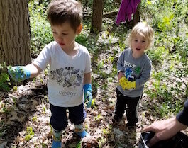 Southwest Michigan Land Conservancy Garlic Mustard