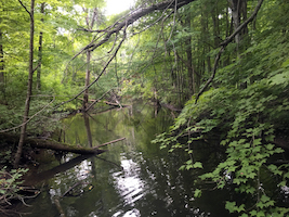 Southwest Michigan Land Conservancy