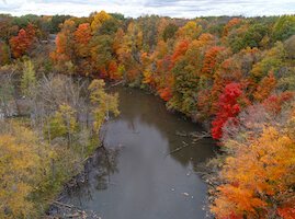 SWMLC Armintrout-Milbocker Preserve