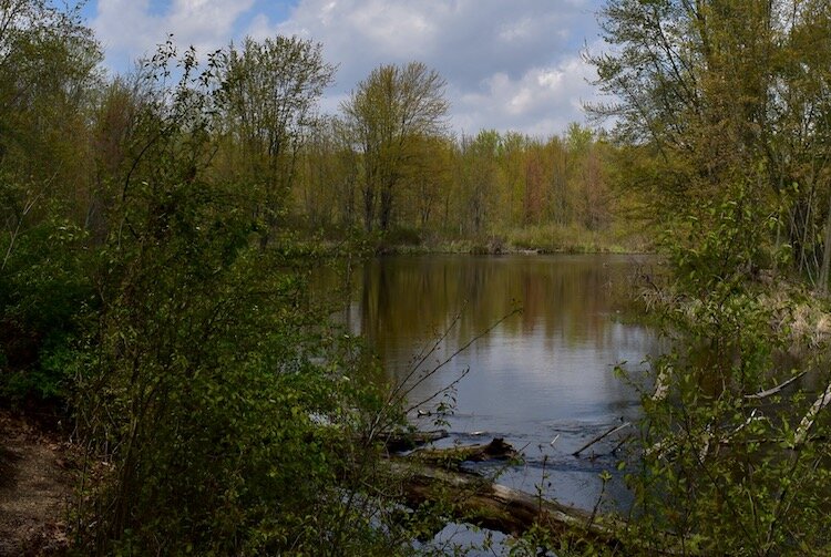 A trail at Hidden Marsh following the river.