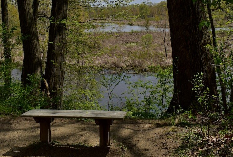 A bench at Hidden Marsh Sanctuary provides scenic views of Portage River.