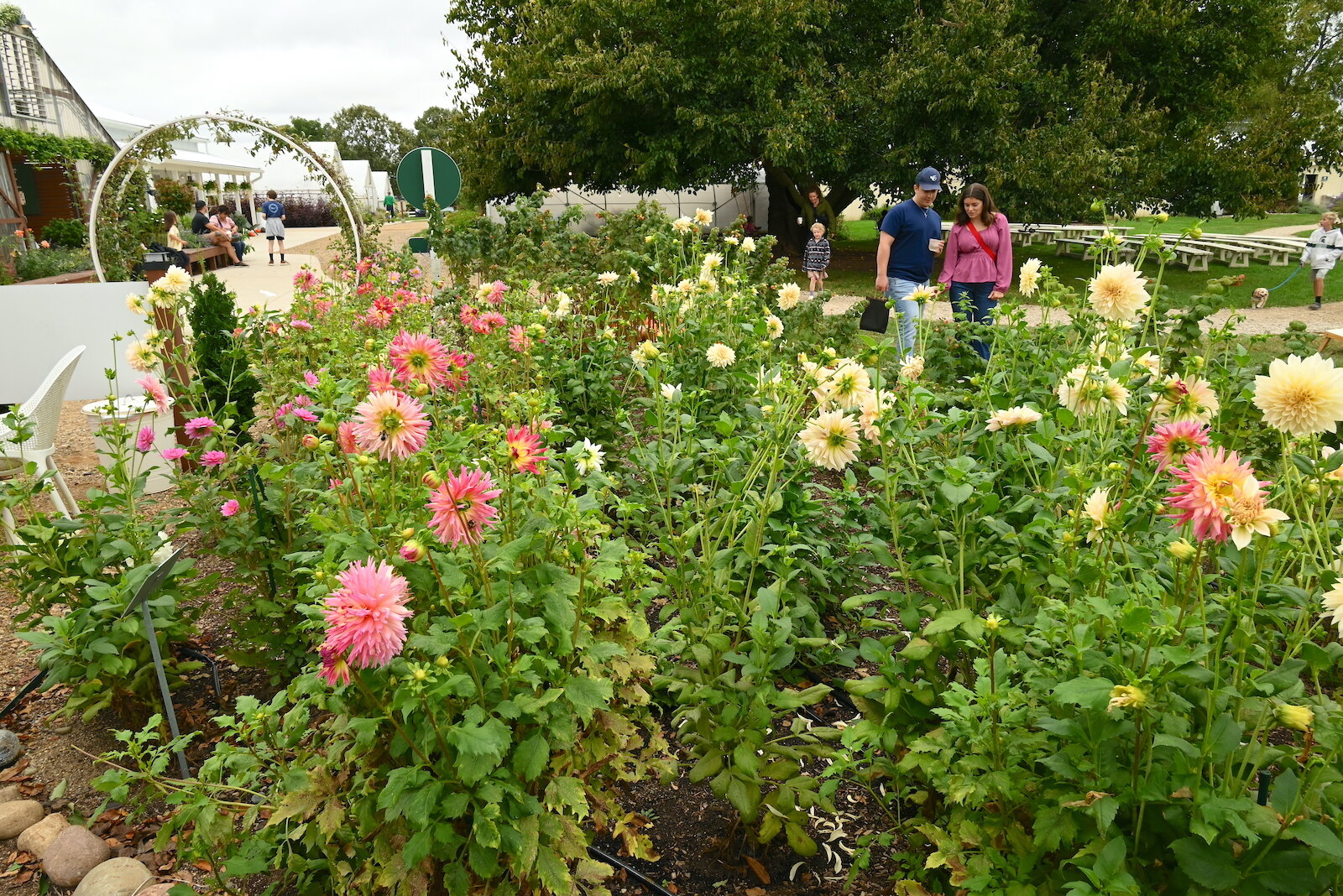 Of The Land has many beautiful flower patches.