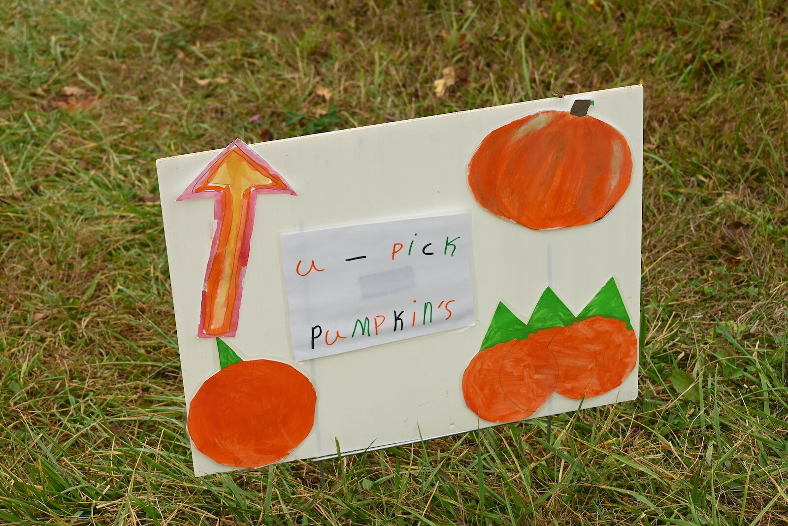 Sign points to the pumpkin patch at Of The Land