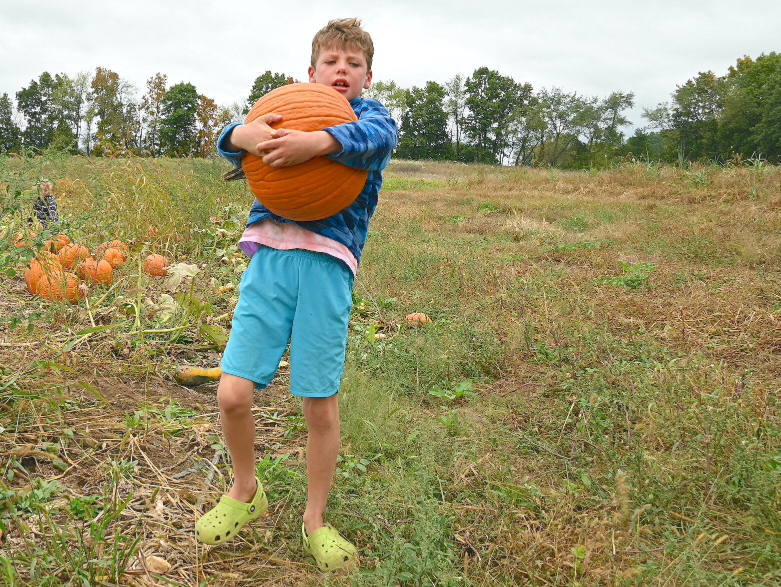 eo Antoniotti works hard carrying the pumpkin he picked during Of The Land’s harvest