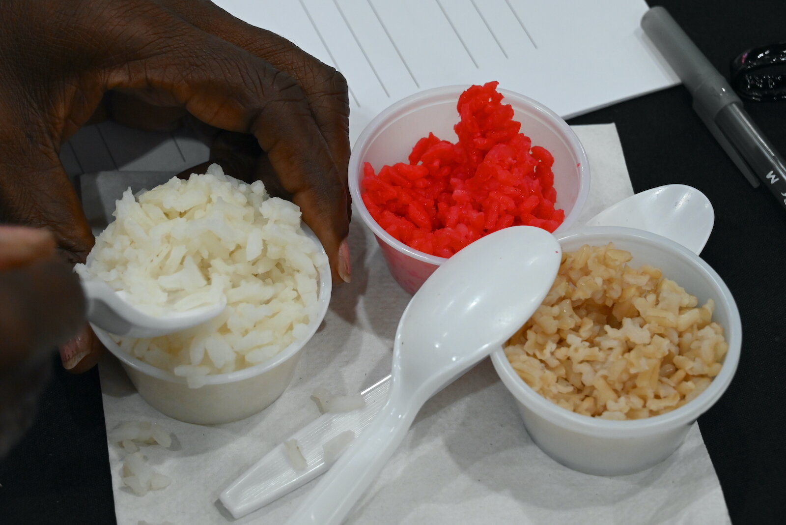 Samples of some of the rice at the Village Network’s Rice and Flavor event at Kellogg Arena