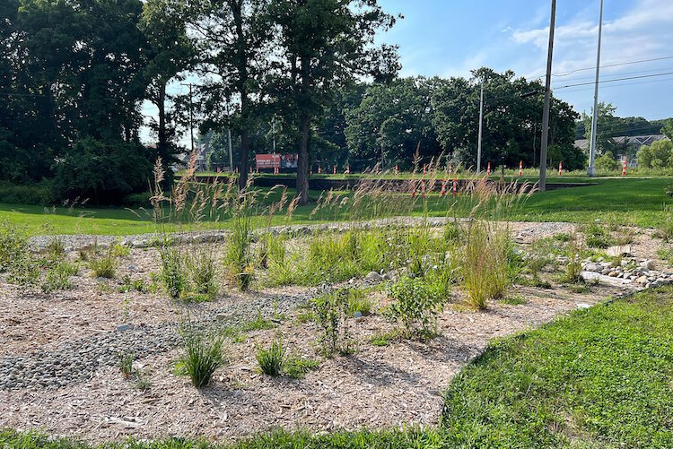 The rain garden at the Congregation of Moses.