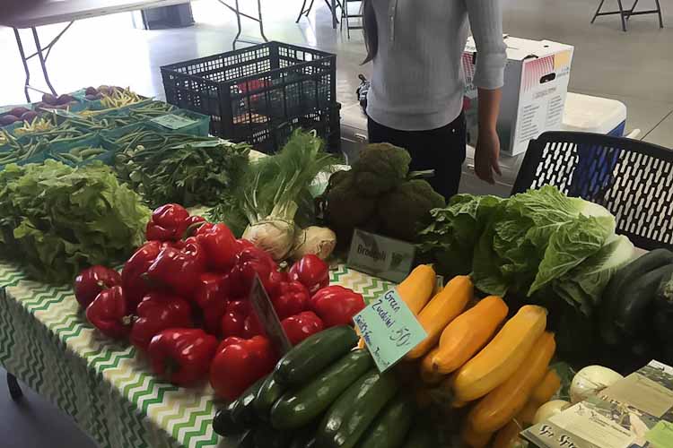 Veggies from local farmers at Sprout Grocery + Kitchen 