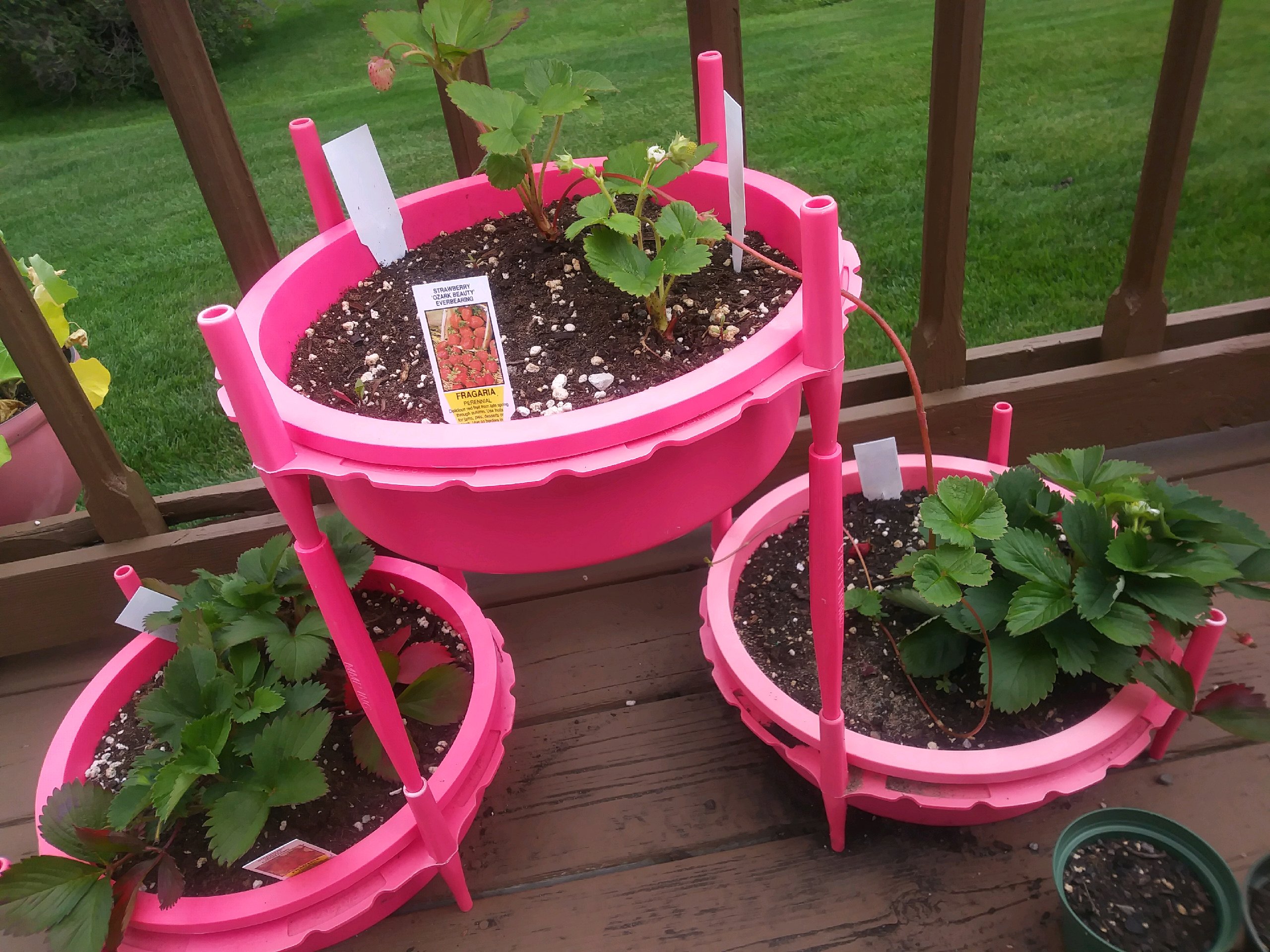 Gro-Hoop makes gardening easier.