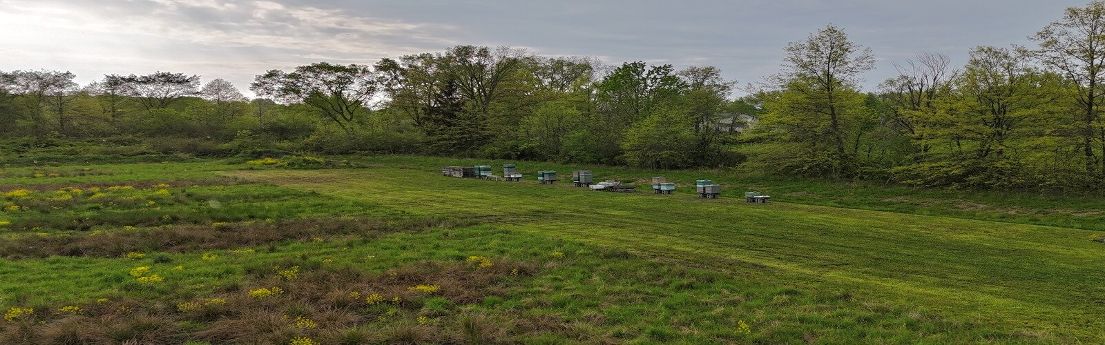 Drone shot of Bosco's Bees Apiary.