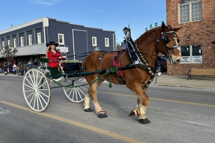 Karlie Gest and her Belgian horse named Cal.