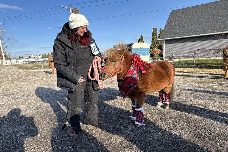 Katie Stanford and Edna, the Chestnut pony.