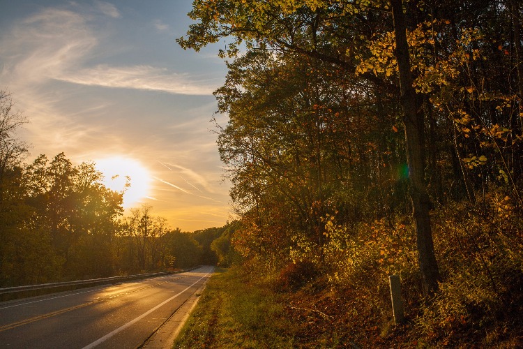 The setting sun is a stunning backdrop for the hues of fall.