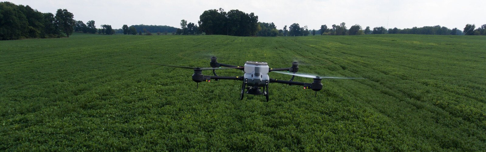 The Agras T20P drone spreads cover crop seed into standing soybeans.