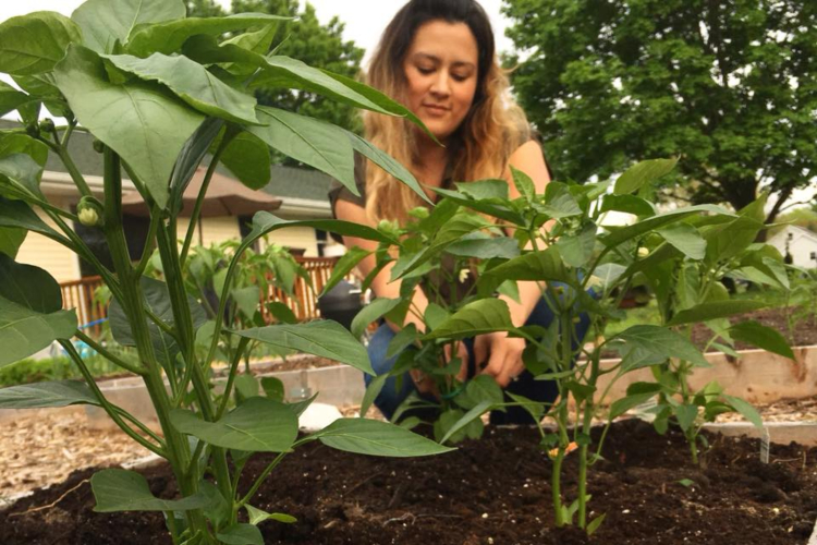 Sindy Marion works on the garden