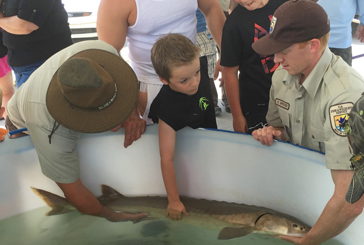 Children check out sturgeon during the Blue Water Sturgeon Festival.