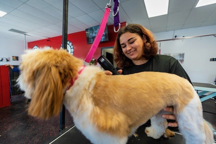 Urban Paws Pet Spa offers specialized grooming care for all pets.