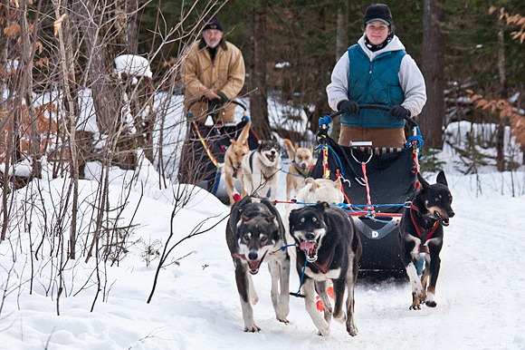 Mcmillan Mushers Offer The Call Of The Wild