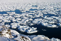 Water frozen superior thumb