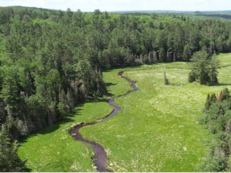 This photo depicts the reestablished free-flowing section of the East Ontonagon River through the former Lower Dam reservoir.