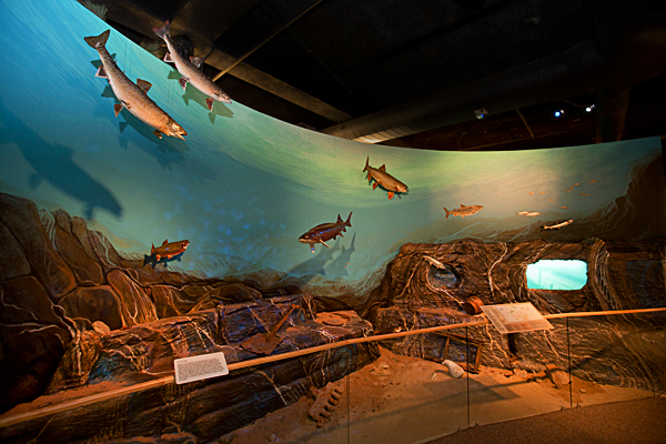 a large mural display at the museum