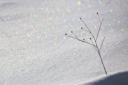 Prismacolor snow drift