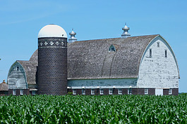 Farming is an economic mainstay in the U.P.