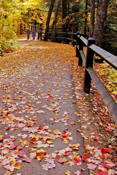 Trails to Tahquamenon Falls, near Newberry