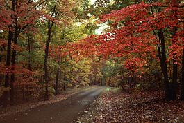 Fall colors are on their way.