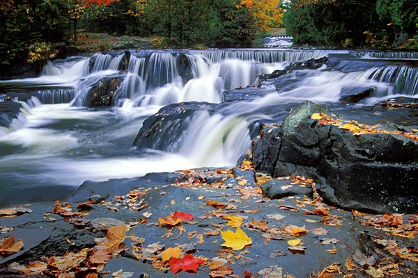 Bond Falls is just one example of the beautiful nature of the U.P. 