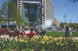 DetroitCampusMartiust